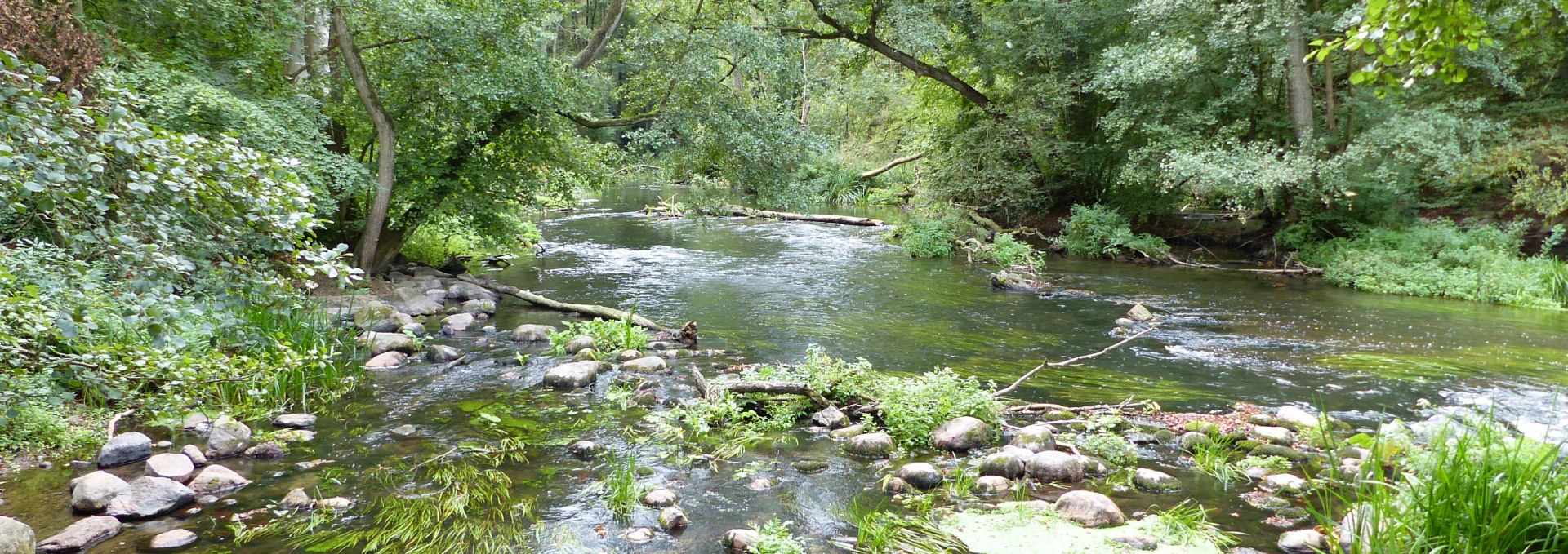 Im Warnowtal bei Groß Görnow, © Naturpark Sternberger Seenland