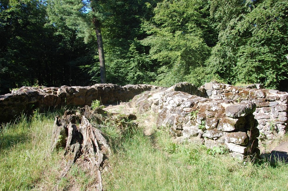 Von der Ruine kann man weit in den Park hinein schauen., © Gabriele Skorupski