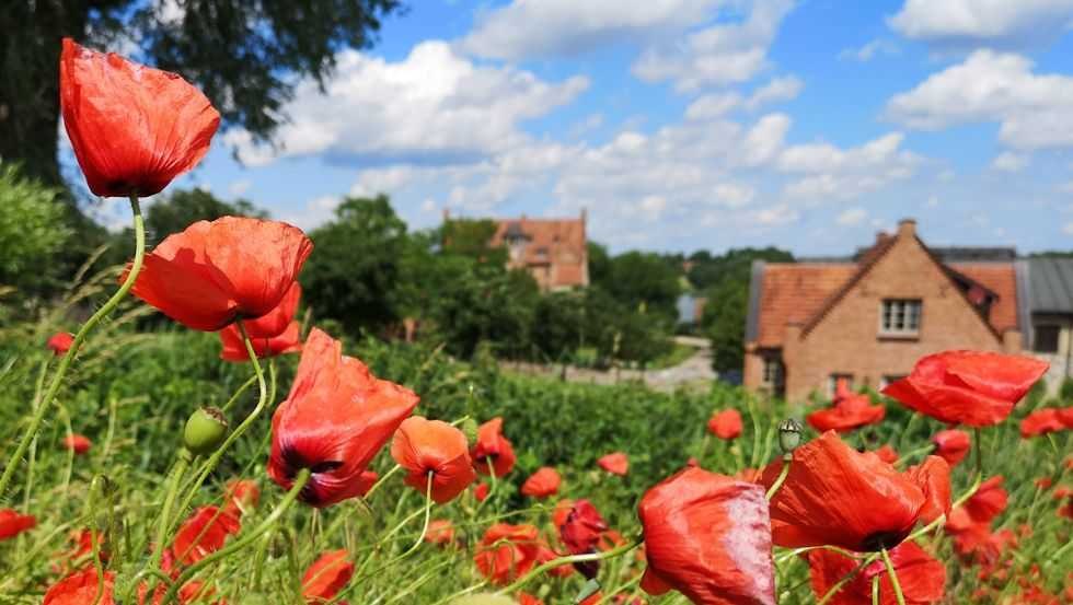 Gutsdorf, © Schloss Ulrichshusen