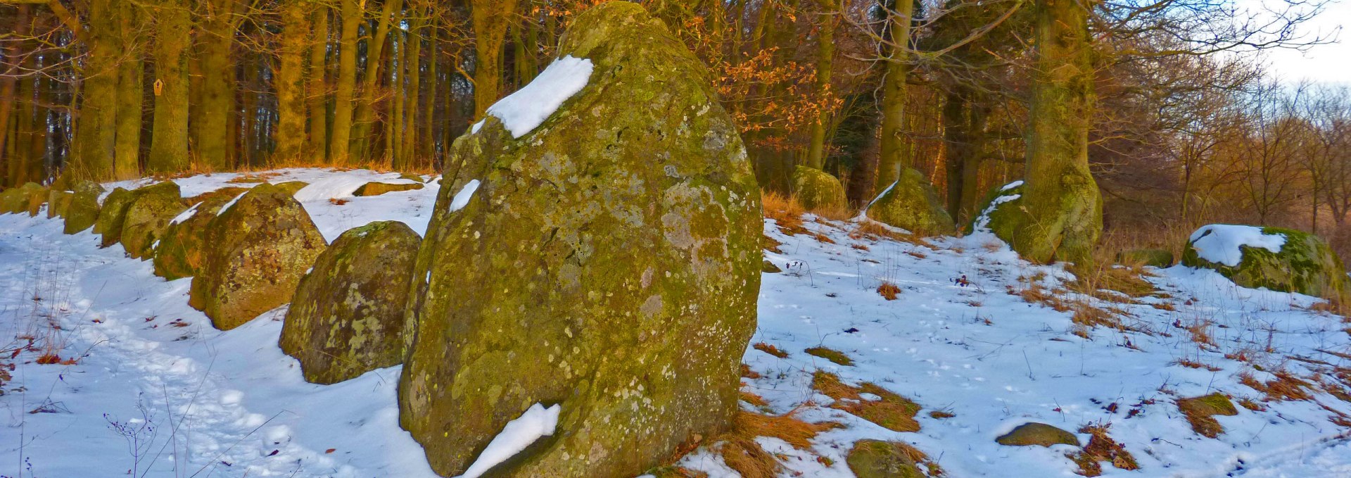 Das Großsteingrab im Schlosspark Dwasieden in Sassnitz, C. D. Friedrichs Motiv, © Dr. Katrin Staude