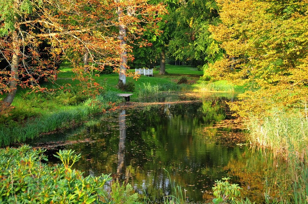 Gutspark Kartzitz, © Tourismuszentrale Rügen