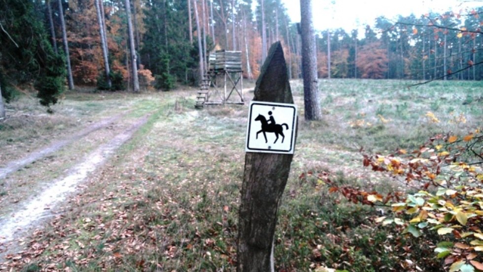 Örtliche Ausschilderung der Reitwege um die Ferienanlage Am Walde in Wooster Teerofen., © Thamm