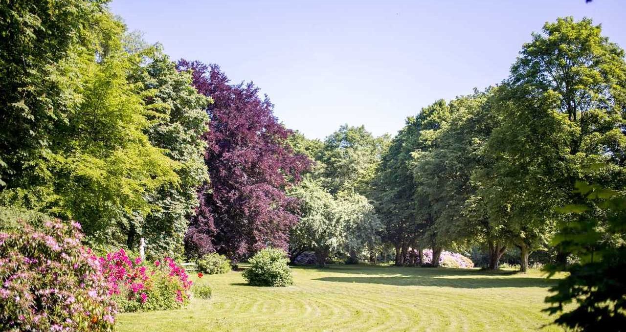 Rhododendronböüte im Park, © Herrenhaus Samow