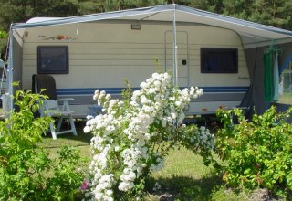 Komfortstellplatz mit Strom- und Wasseranschluss, © Natur Camping Usedom