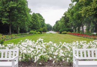 Rosengarten mit Bänken im Vordergrund, © Frank Burger