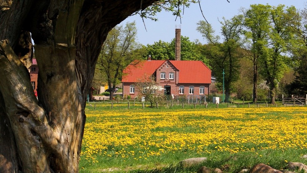 Das Gut Gallin ist einer der größten Biobetriebe Deutschlands, © Gut Gallin / Rasim