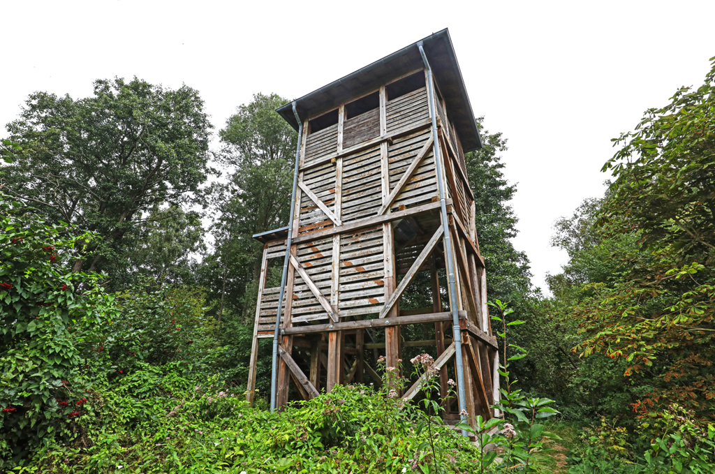 Aussichtsturm Moorochse, © TMV/Gohlke