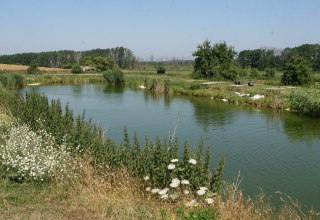 Blick auf die Teichanlage, © Sabrina Wettkopf-Schade