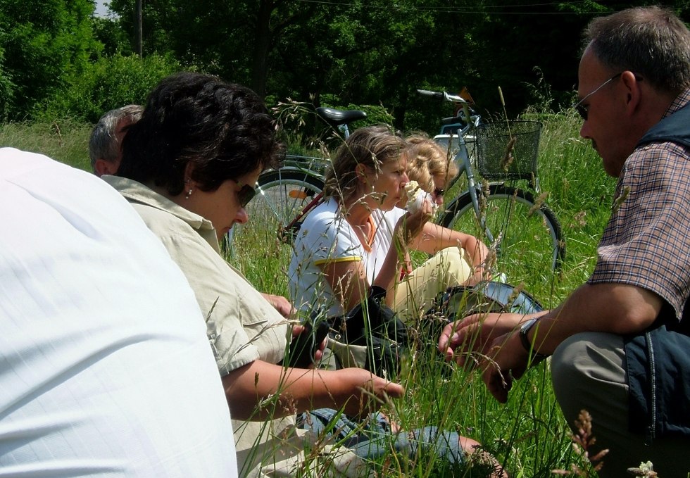 Picknik beim Radwandern, © Kathrin Grumbach