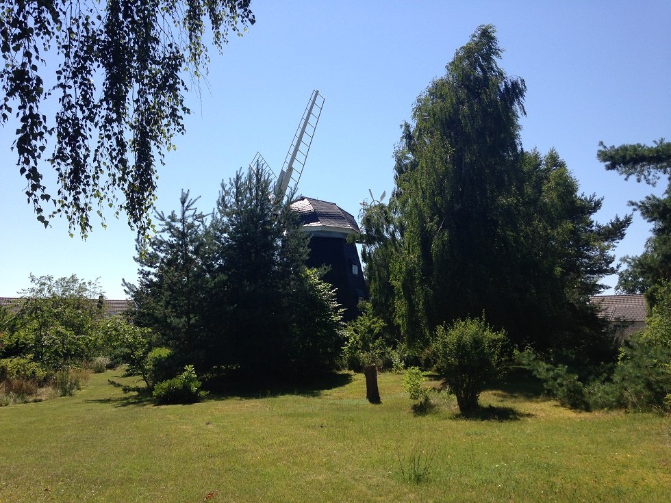 die idyllisch gelegene Erdholländerwindmühle Trassenheide, © Sabrina Wittkopf-Schade