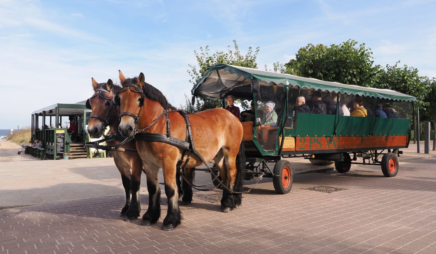 Planwagen-/ Kremser- und Kutschfahrt