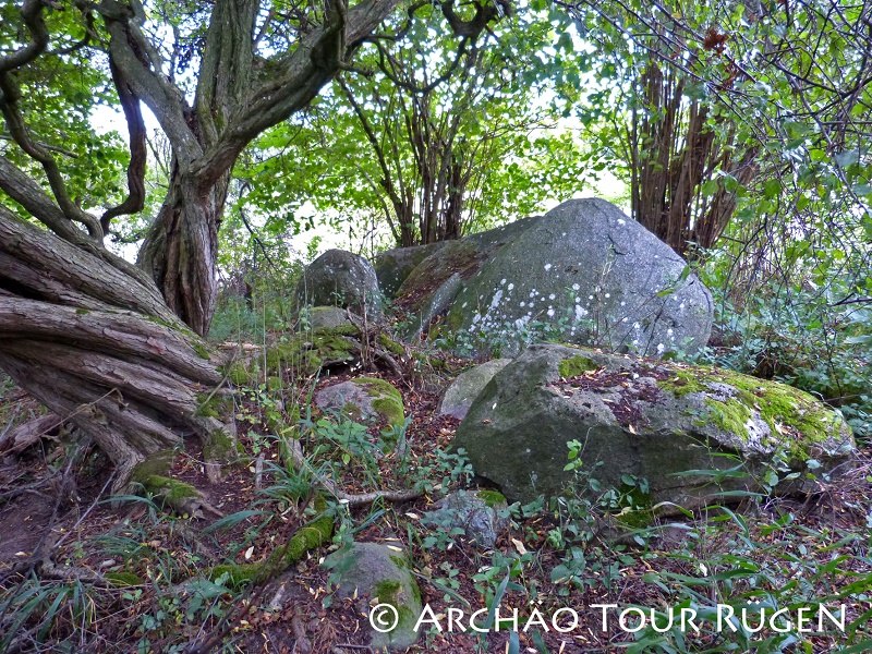 Versteckt im Gebüsch liegen die Reste des Großsteingrabes "Teetsbusch"., © Archäo Tour Rügen