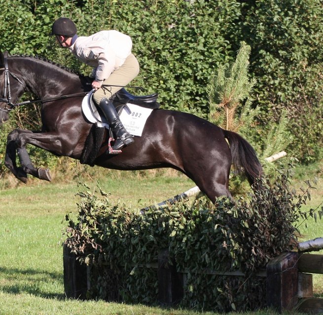 Erlkönig im Gelände, © Trakehnerhof Valluhn