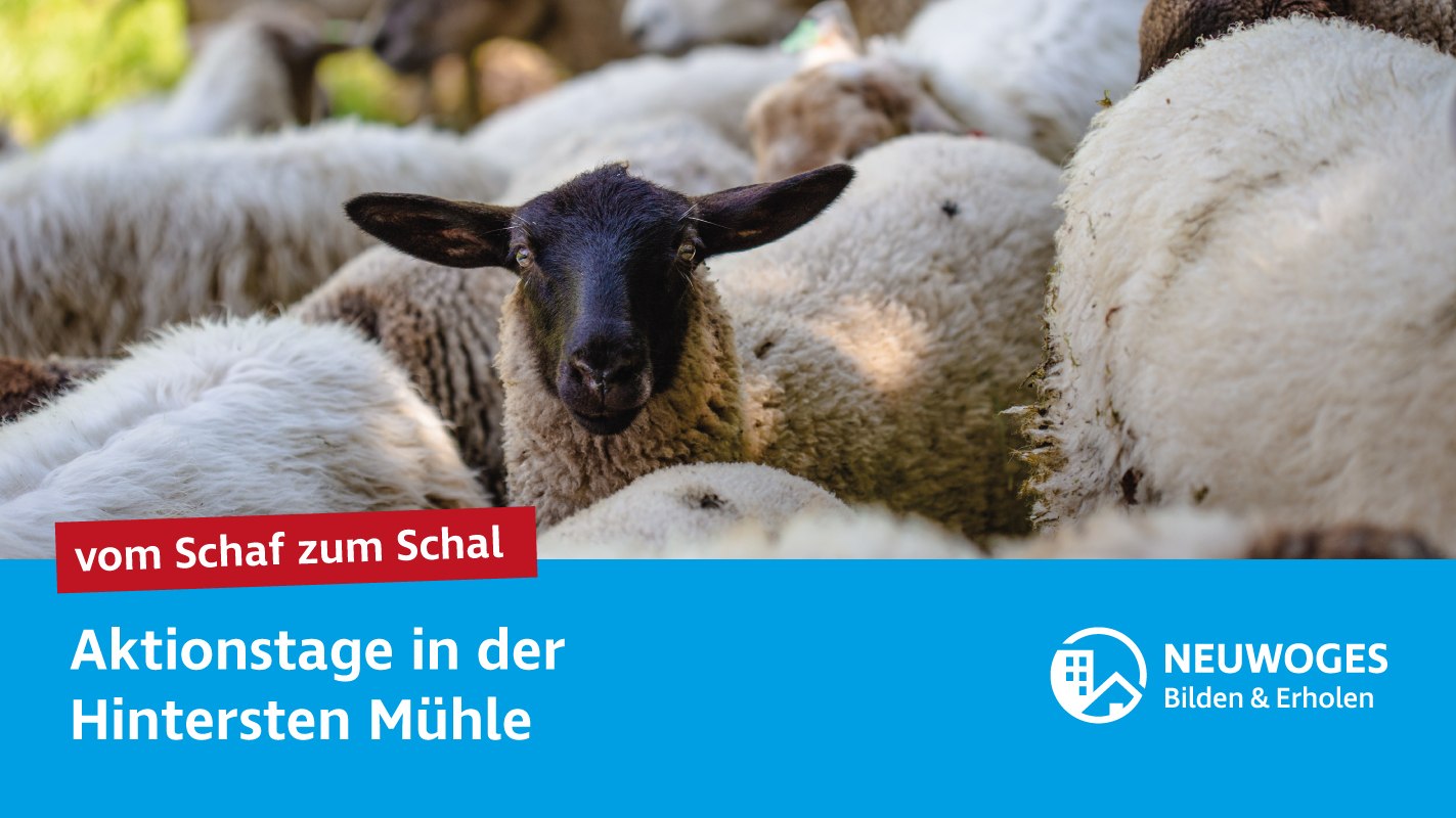 neuw-konzern_externe-komm_tierheim_aktionstage-24-vom-schaf-zum-schal, © Neuwoges