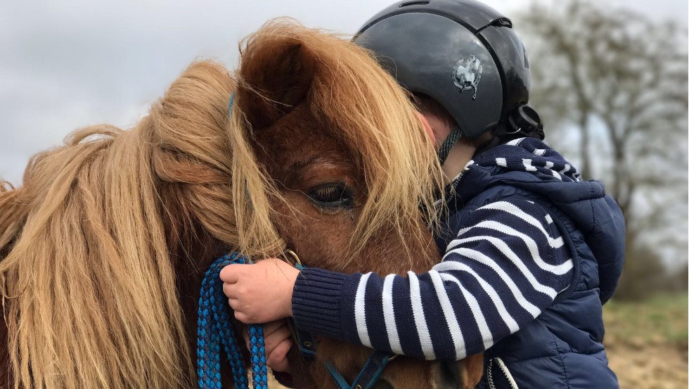 Auch für die Kleinen findet sich ein Pony zum Kuscheln, © Reitanlage Rodenberg