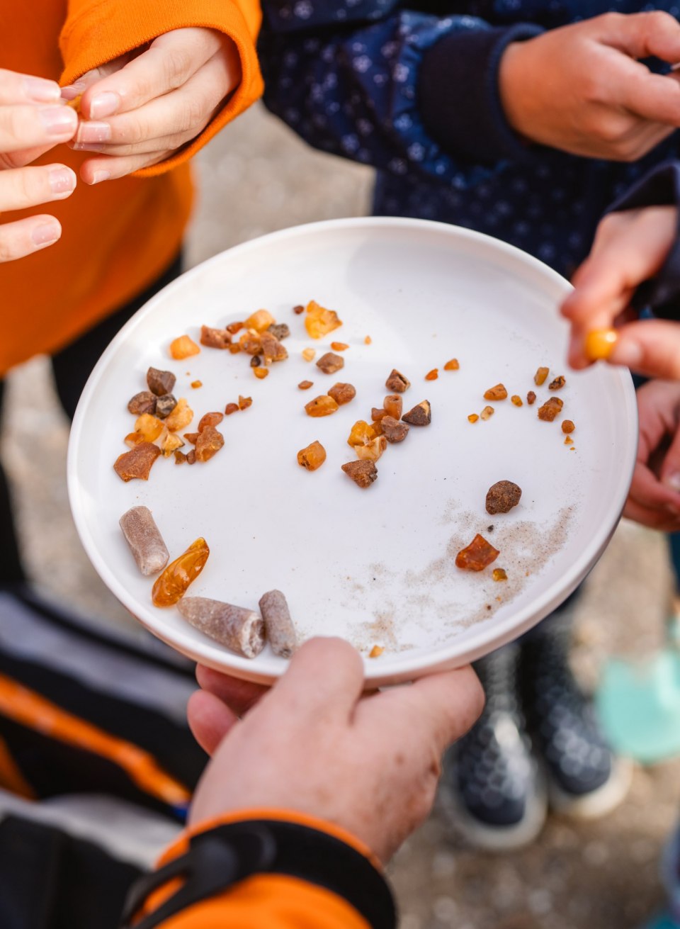 Nahaufnahme eines weißen Tellers mit kleinen Bernsteinen und Steinen, die von Kindern und einem Erwachsenen untersucht werden.