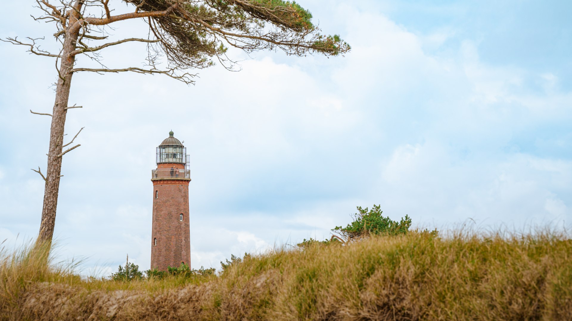 Einen grandiosen Ausblick hat man vom Leuchtturm auf die Ostsee und das Naturschutzgebiet., © TMV/Tiemann