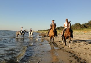 Gelände- und Strandritte durch die vorpommersche Boddenlandschaft, © Pferdesport Brauns