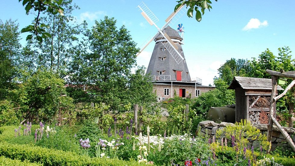 Holländerwindmühle Zoo Stralsund, © Archiv Zoo Stralsund