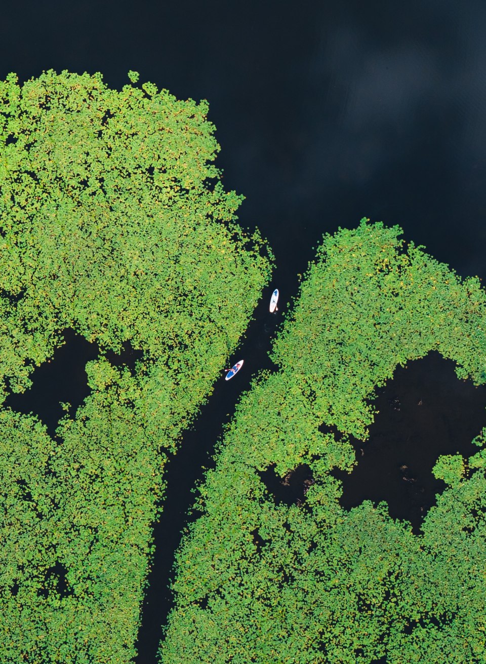 Schmale Kanäle verbinden die verschiedenen Seen der Mecklenburgischen Seenplatte zu einem gigantischen Wasserwegenetz! , © TMV/Gross