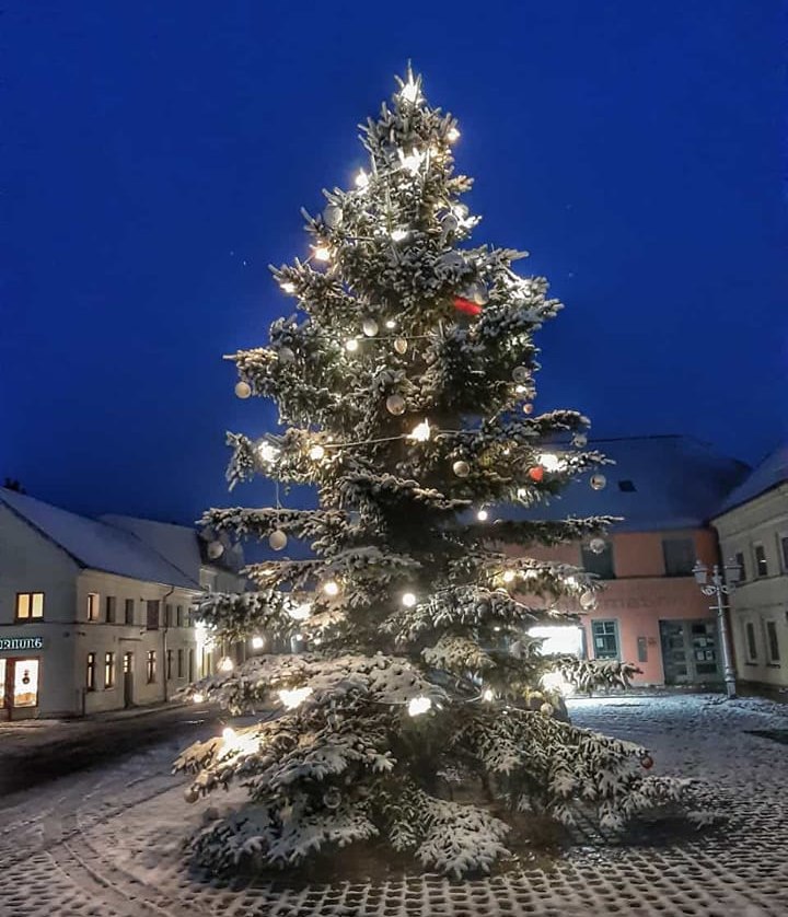 Weihnachtsbaum auf dem Marktplatz, © Gabriele Riech