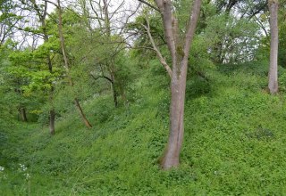 Der Wall der Slawenburg ist noch deutlich erkennbar., © Lutz Werner