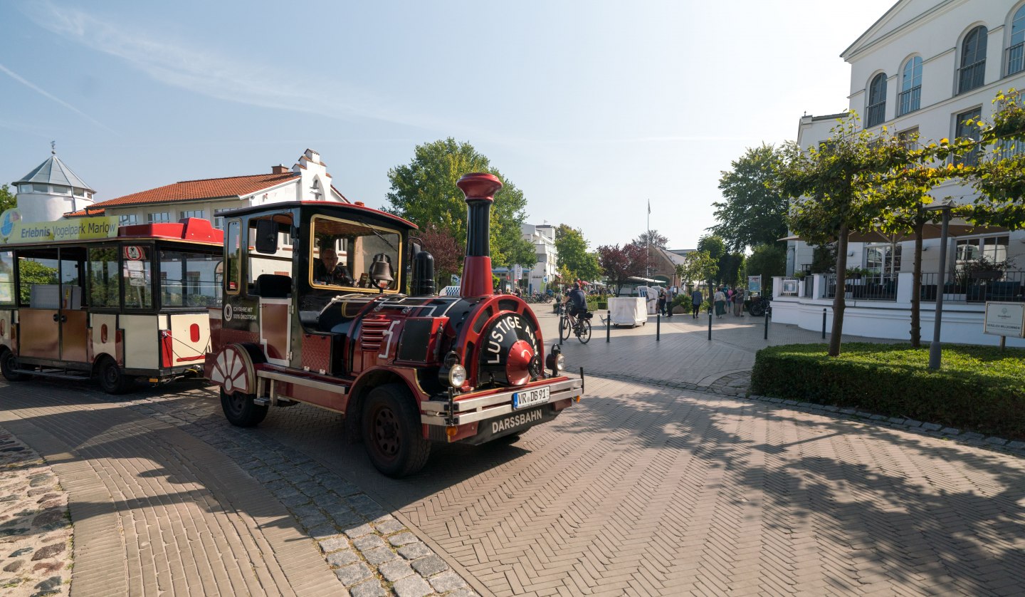 Darssbahn Erlebnistouren, © Moritz Kertzscher