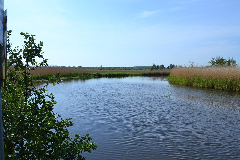 Blick auf die Recknitz, © Lutz Werner