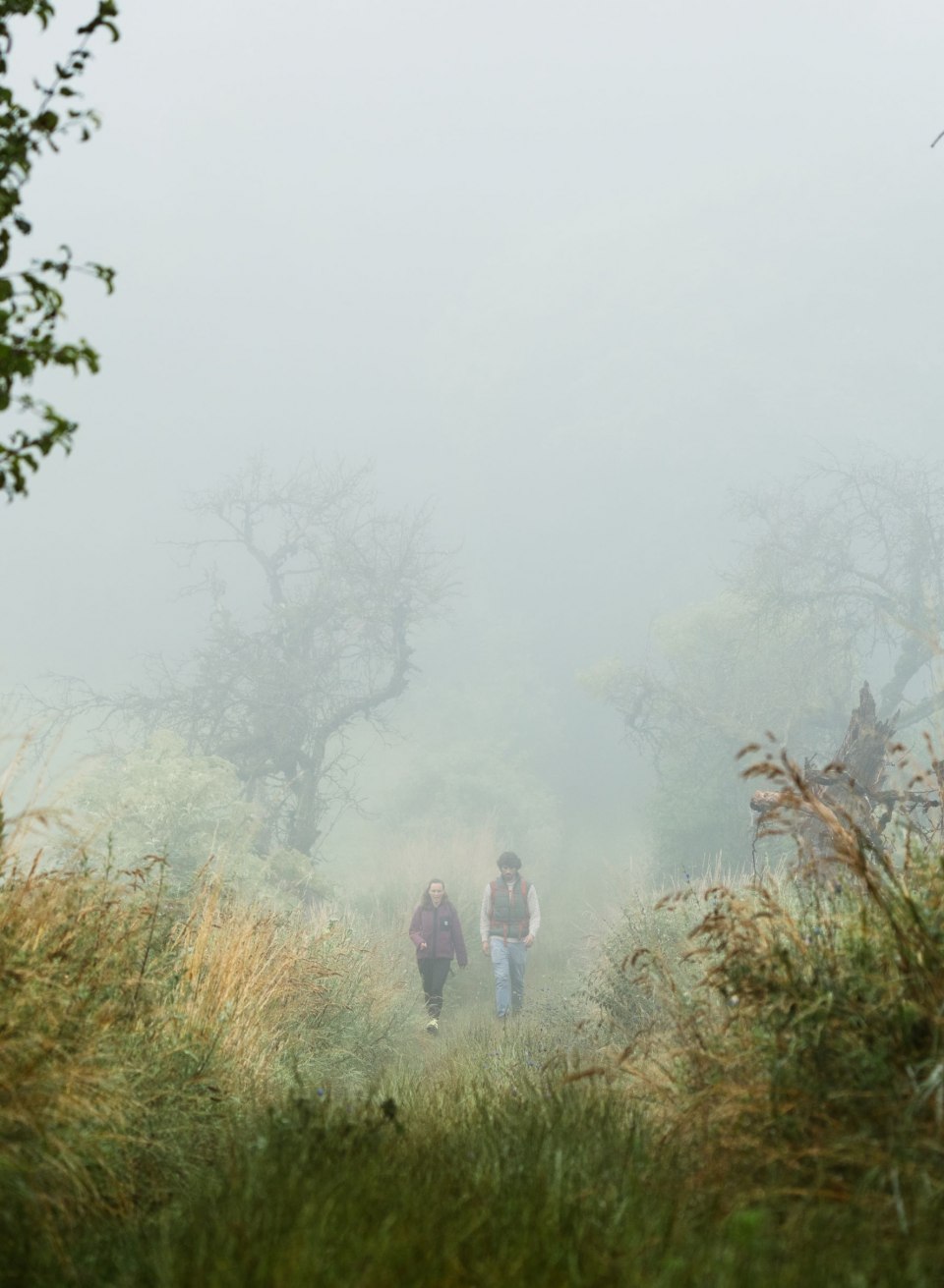 Ein Pärchen wandert an einem nebligen Morgen durch die wilde Naturlandschaft am Rötelberg in der Mecklenburgischen Schweiz. Die hohen Gräser und alten Bäume verleihen dem Pfad eine mystische Atmosphäre, die Ruhe und Abenteuer zugleich ausstrahlt.