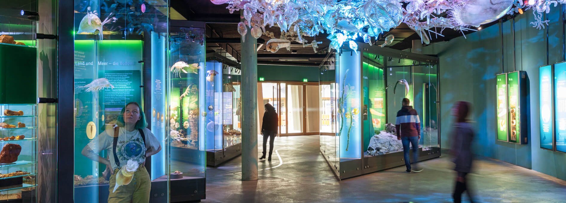 Die Ostsee-Ausstellung mit Planktonwolke im OZEANEUM, © Anke Neumeister/Deutsches Meeresmuseum