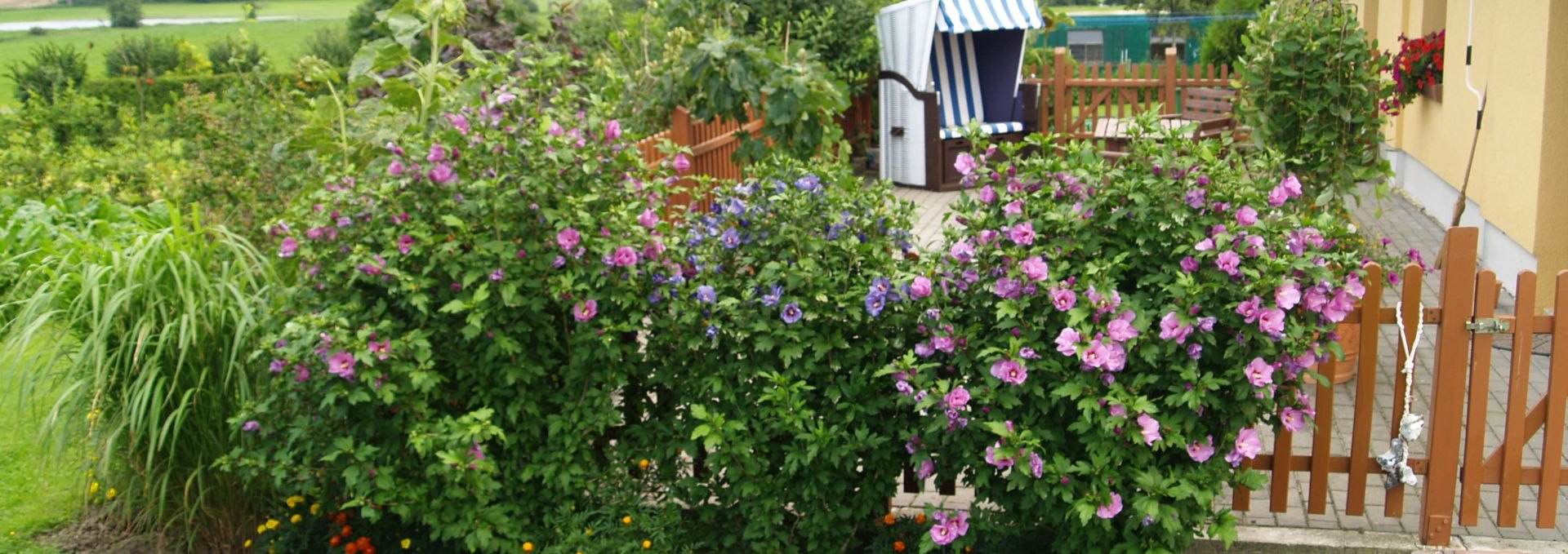 Eine gemütliche Terrasse lädt zum Entspannen ein, © Dinserhof