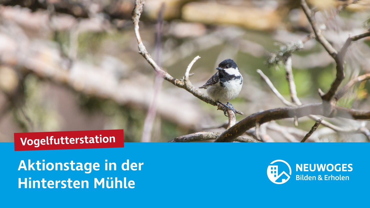 neuw-konzern_externe-komm_tierheim_aktionstage-24-vogelfutterstation