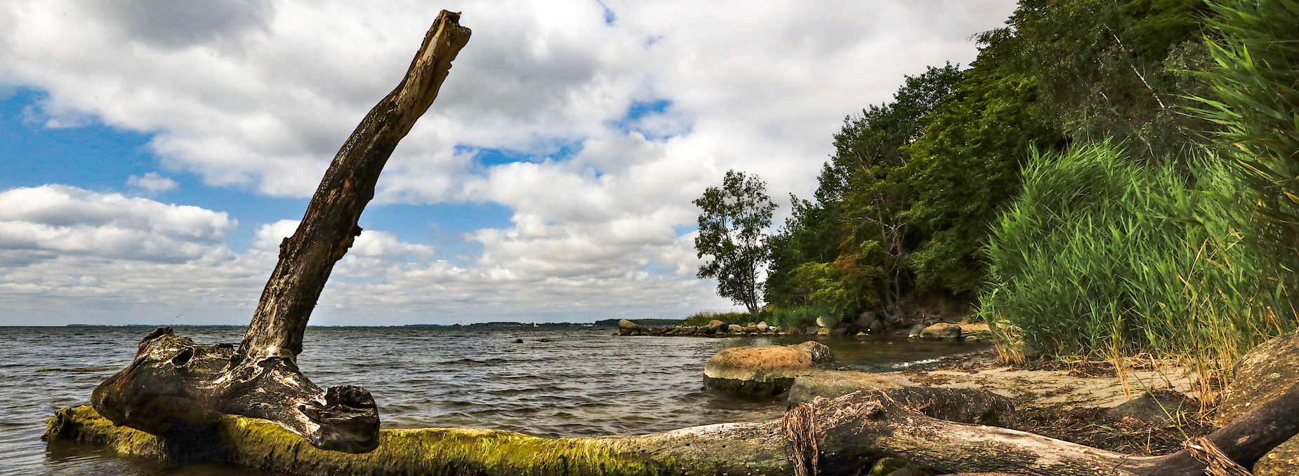 pfad-der-musse-und-erkenntnis_2, © TMV/Gohlke