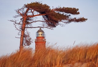 Den Darßer Weststrand schmückt ein Leuchtturm, der Teil des NATUREUMs ist., © Anke Neumeister/Deutsches Meeresmuseum