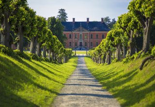 Festonallee zum Schloss Bothmer, © SSGK MV / Timm Allrich