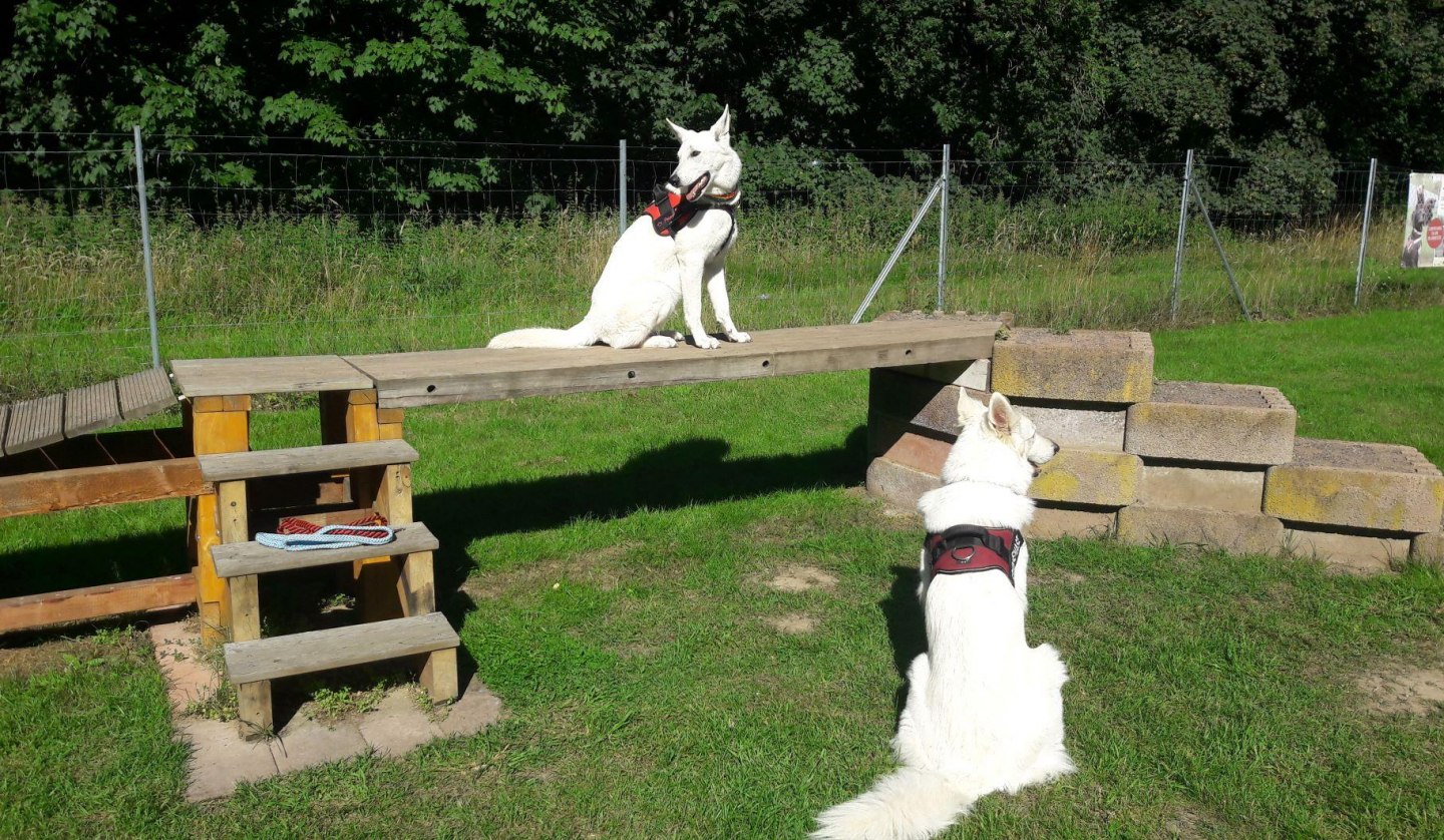 Hundespielplatz Dat Waldhus Plau am See, © DatWaldhus