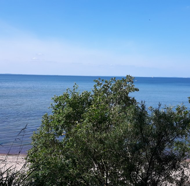 Steine und Muscheln sammeln und dabei einen tollen Blick auf die Insel Rügen, © tvv-michaelis