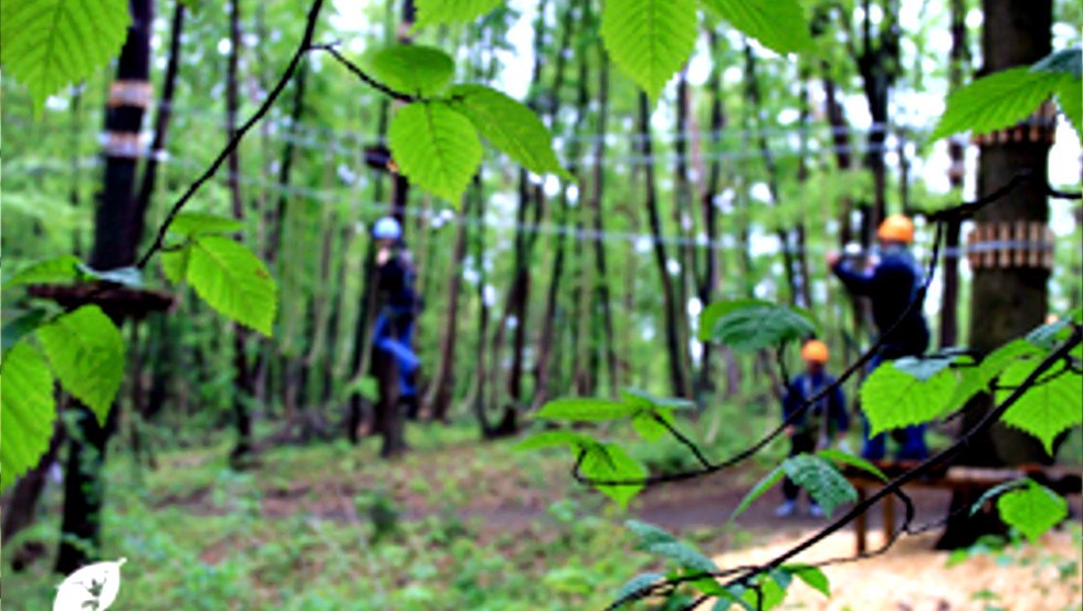 Hoch im Grünen - Schweriner Kletterwald, © Schweriner Kletterwald