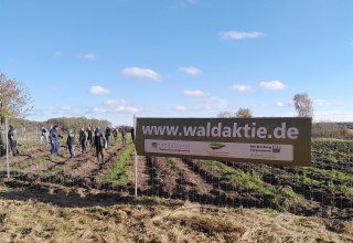 Ein Klimawald auf Rügen entsteht, © Johanna Köhnlein