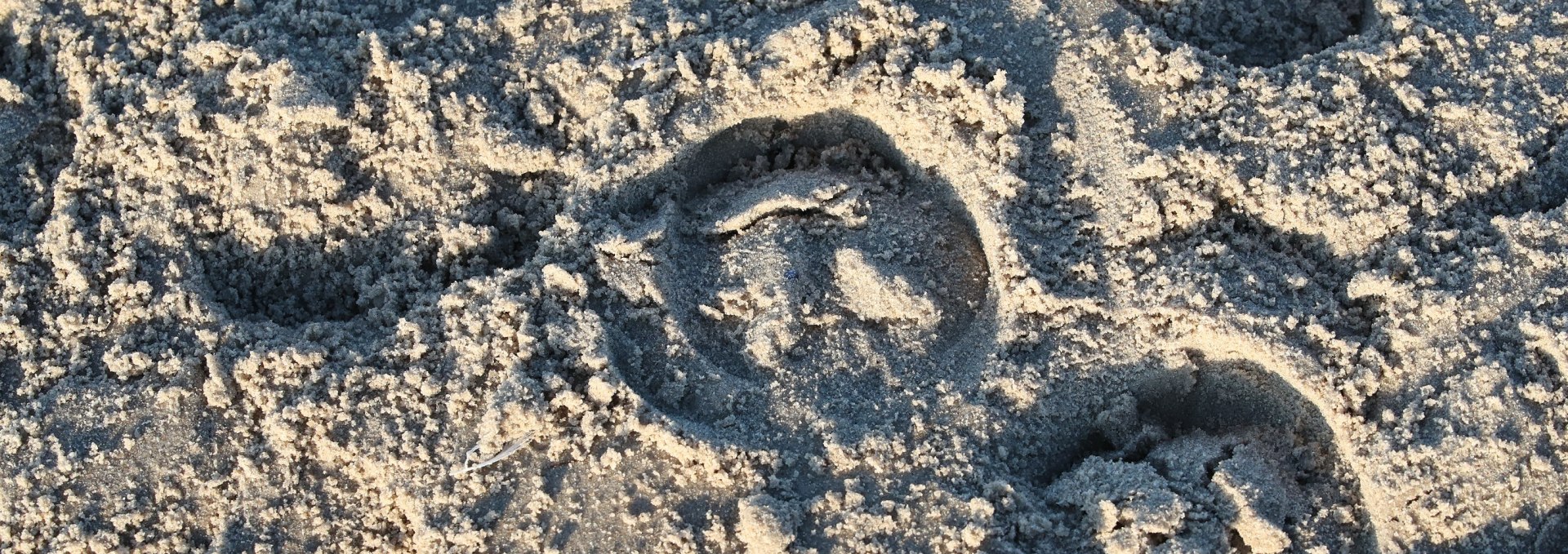 Reiten am Strand, © TMV/ACP Pantel