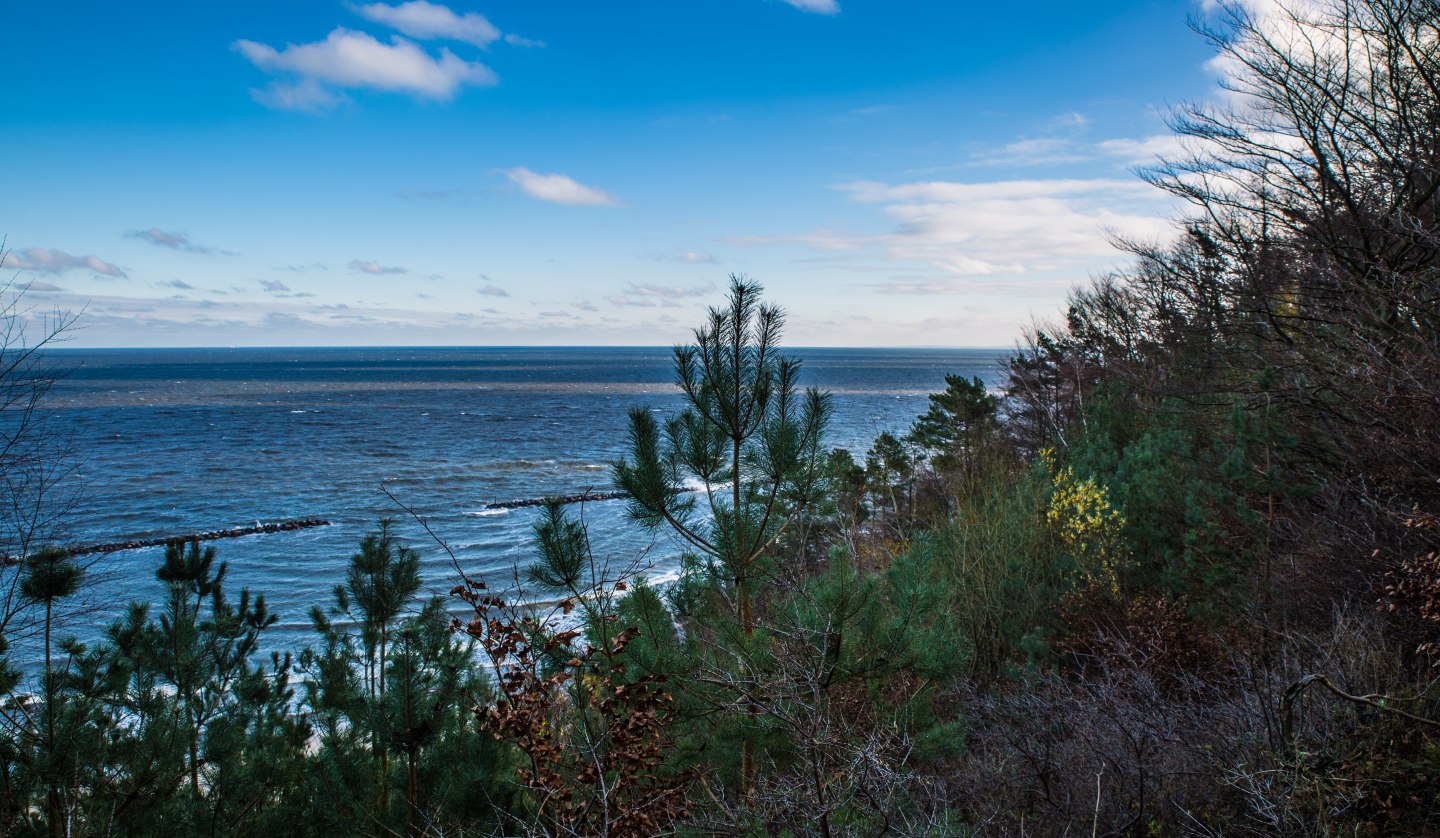 Wanderung mit dem Revierförster, © insel-fotograf.eu, Andreas Dumke