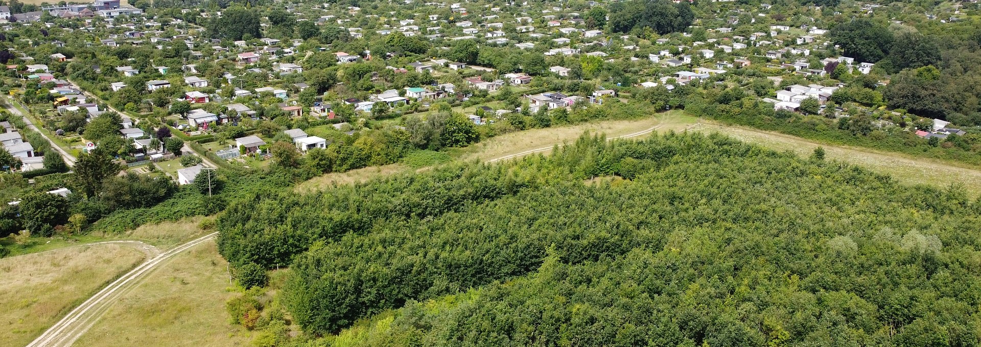 Klimawald Neubrandenburg-Nettelkuhl, © Landesforst MV