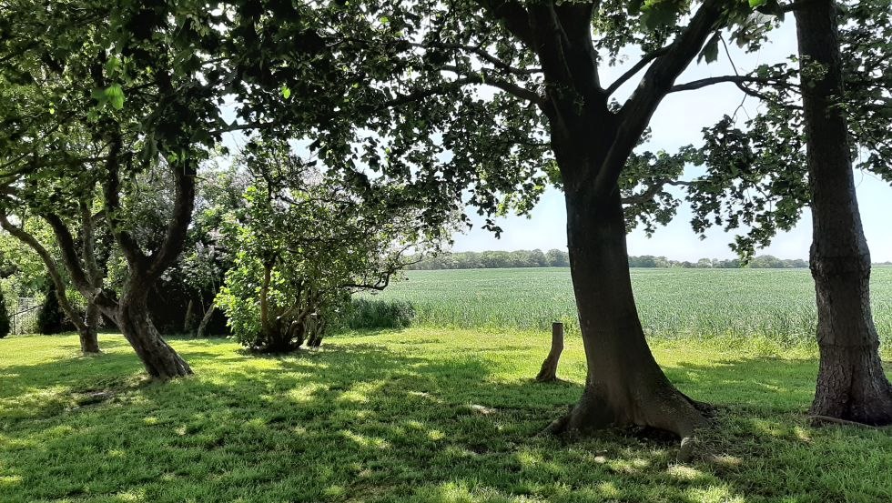 Feld beim Gutshaus, © Gutshaus Neu Farpen