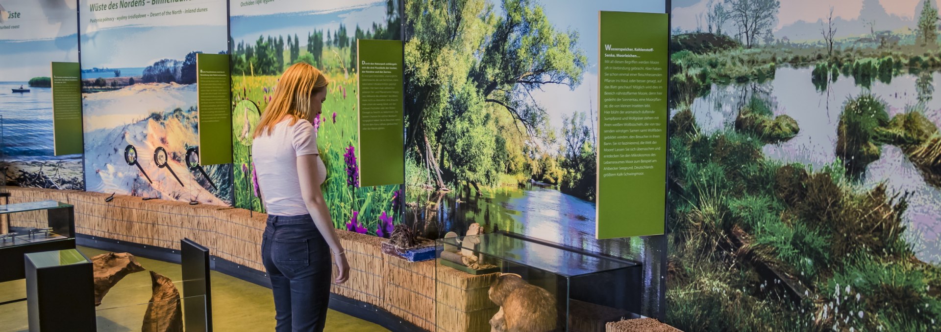 Naturpark Am Stettiner Haff - Ausstellungsräume, © tvv/Philipp Schulz