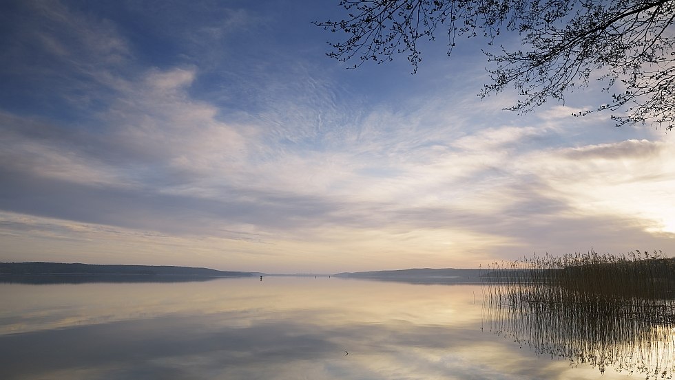 Die Natur atmet Stille am Tollensesee, © TMV/Grundner