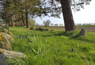 © Tourismusverband Mecklenburg-Schwerin