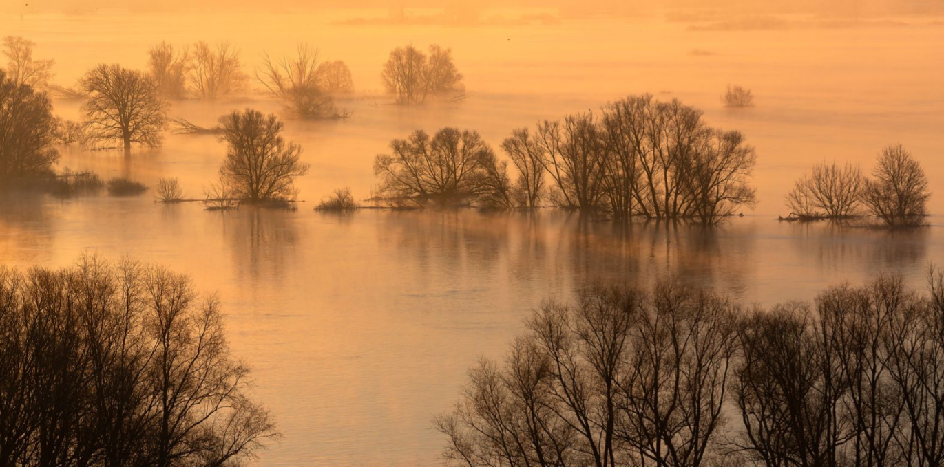 Elbaue bei Boizenburg, © Dirk Eisermann