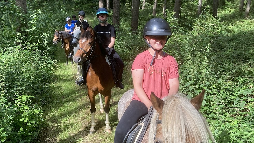 Ausritte auf eigenen Reitwegen im Wald und an Feldern, © Alte Schule Barlin