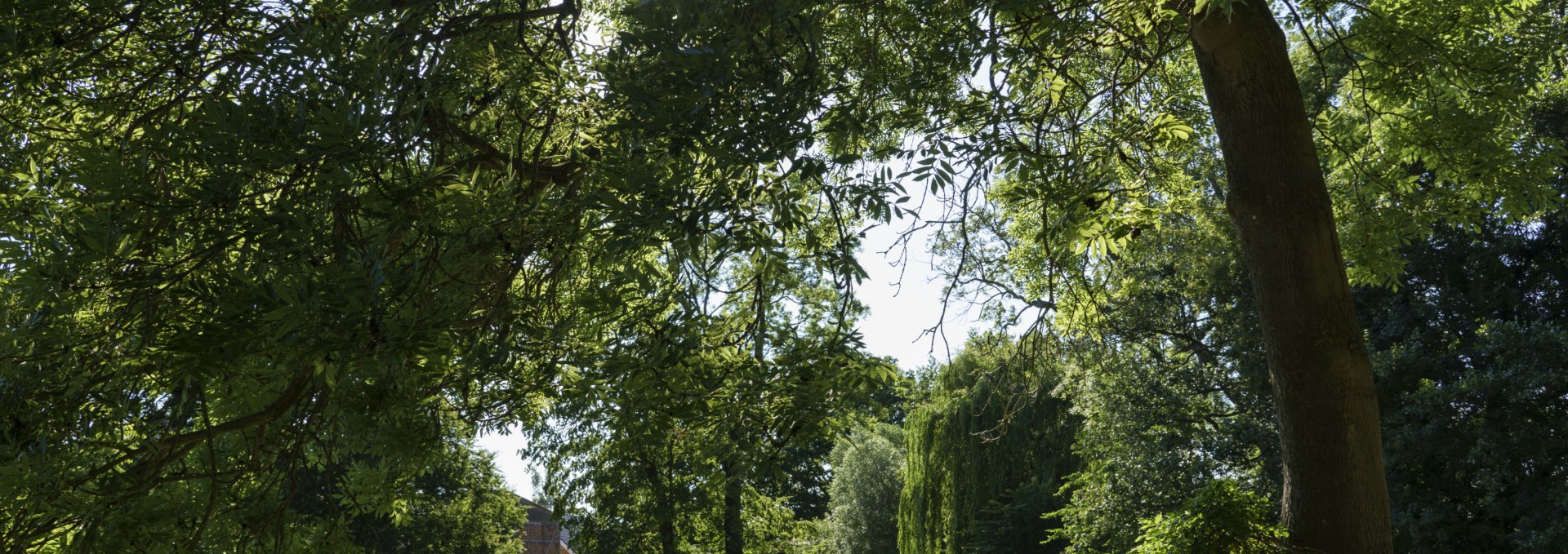 Der Park als Ort der besonderen Harmonie und der friedlichen Atmosphäre, © Herrenhaus Roggow