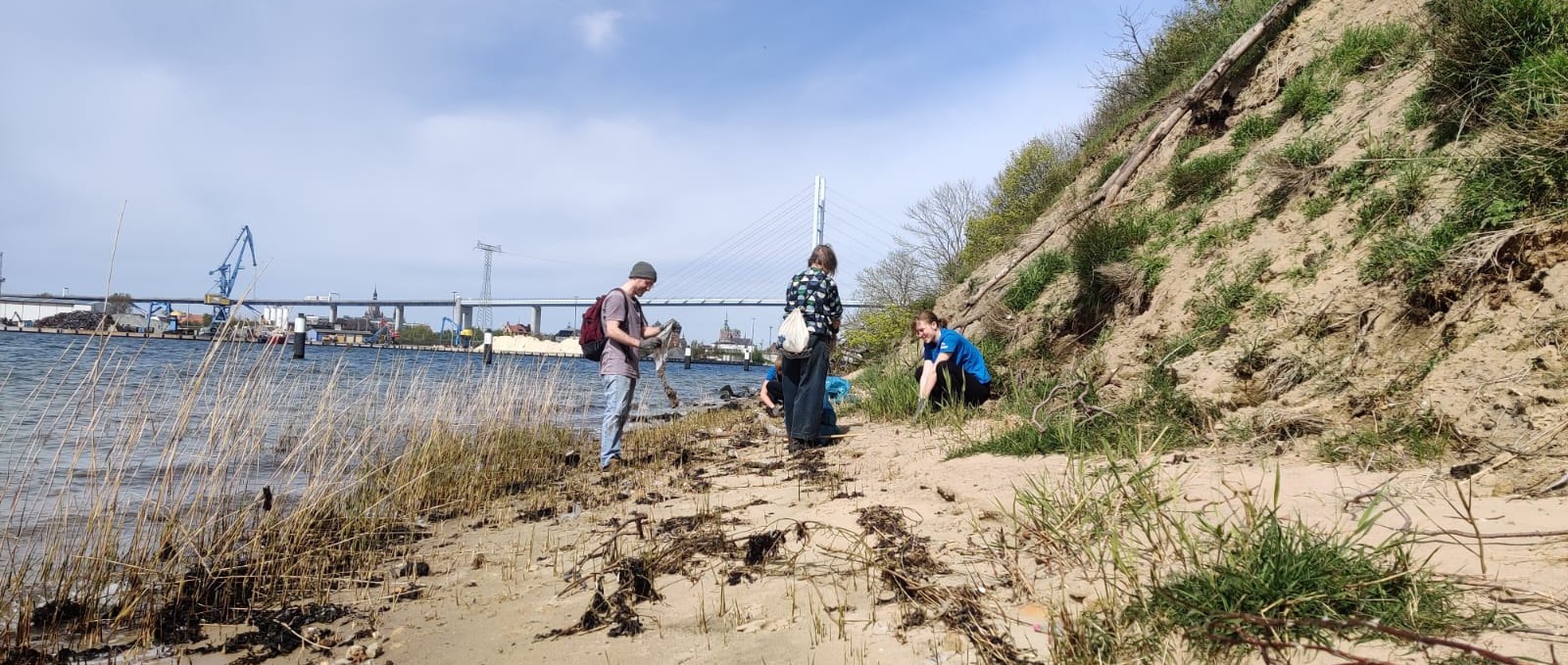 Freiwillige des NABU Stralsunds bei einer Müllsammelaktion., © NABU Stralsund